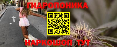 спиды Тверь