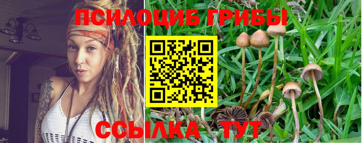 Псилоцибиновые грибы GOLDEN TEACHER Мариинск