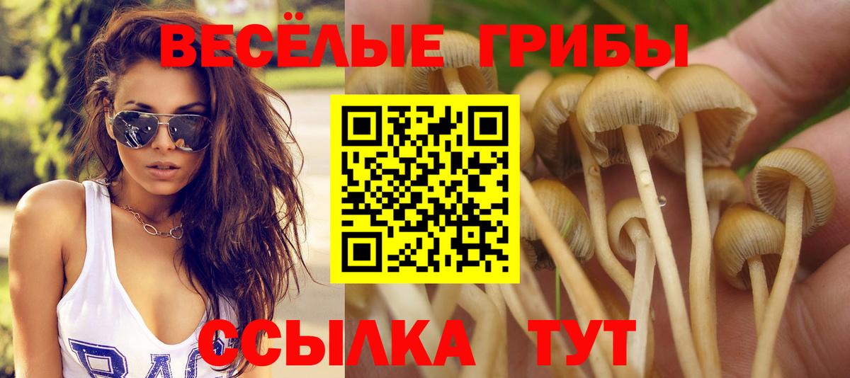 Псилоцибиновые грибы Psilocybine cubensis  Вход с VPN  купить  цена  Мариинск 